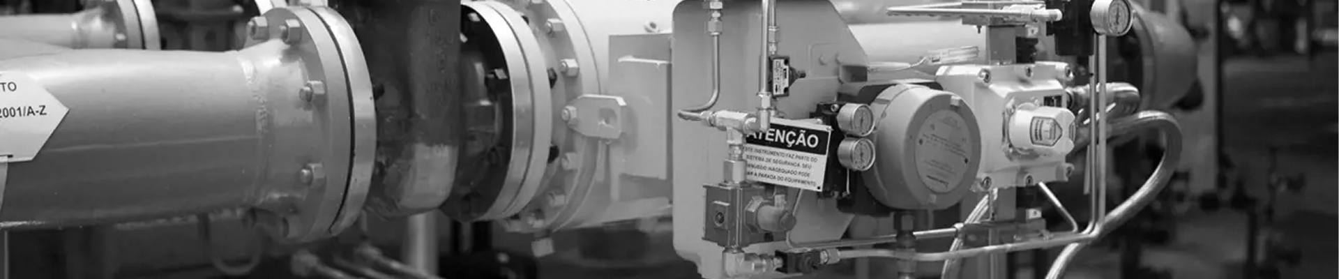 Industrial ball valves